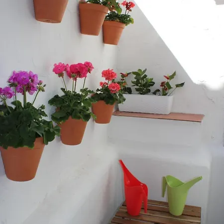 Fan Flat San Juan Apartment *