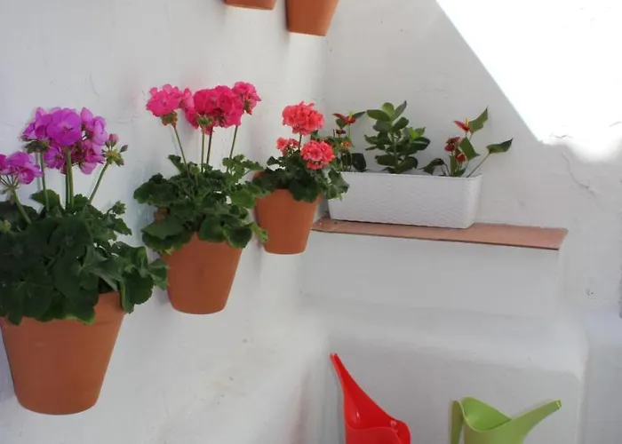 Fan Flat San Juan Appartement *