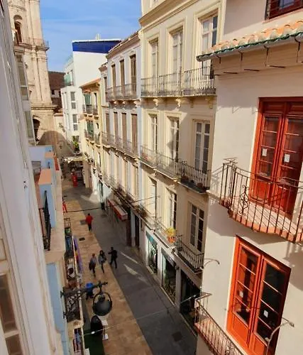 Fan Flat San Juan * Málaga